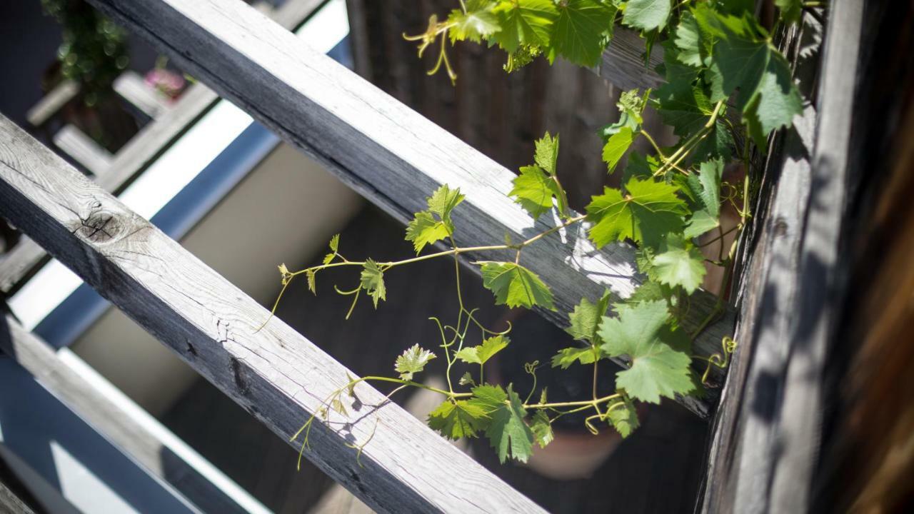 Biohotel Theiner'S Garten Lana Bagian luar foto